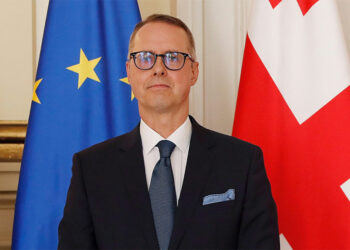 Germany suspends scientific cooperation with Georgia