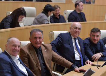 Georgian Dream approves the law on issuing government grants to NGOs