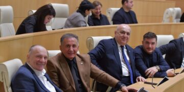 Georgian Dream approves the law on issuing government grants to NGOs