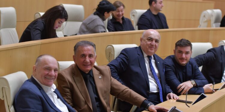 Georgian Dream approves the law on issuing government grants to NGOs