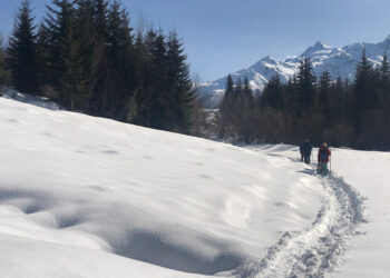 Photo by the author's house guests.