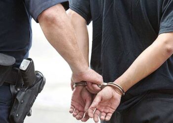 22 arrested in Georgia in major anti-drug operations