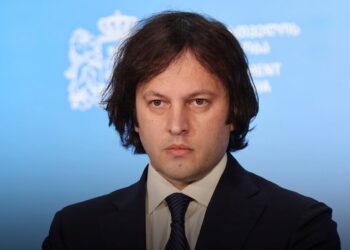 Kobakhidze assesses storm recovery in Imereti