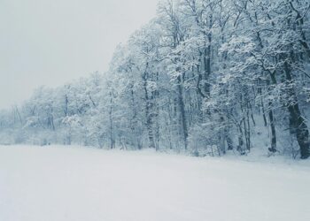 Energo-Pro Georgia works to restore power in storm-hit regions