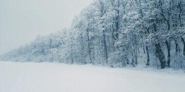 Energo-Pro Georgia works to restore power in storm-hit regions