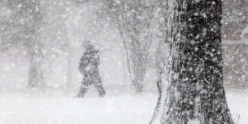 Georgia deploys defense forces to aid snowstorm-hit regions