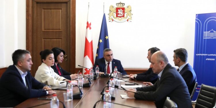 Georgian Parliament committee reviews draft law on amendments to rules of procedure