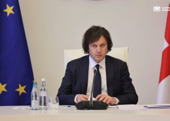 Kobakhidze pushes higher education reform for 2028