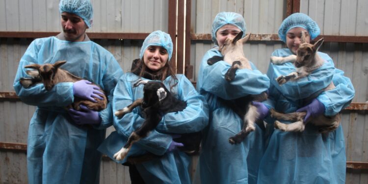 FAO veterinarians share expertise with Agricultural University students