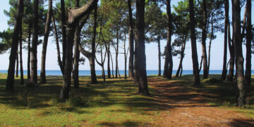 Grigoleti. Source: FB