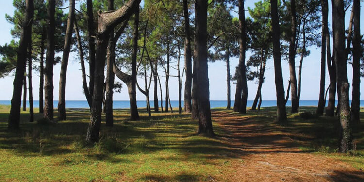 Grigoleti. Source: FB