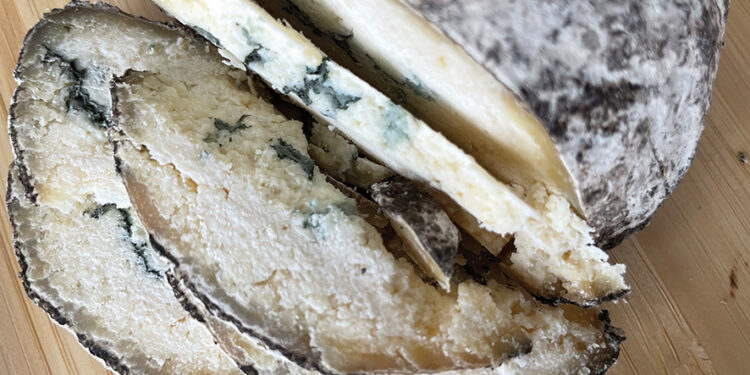 Dambalkhacho cheese. Photo by the author