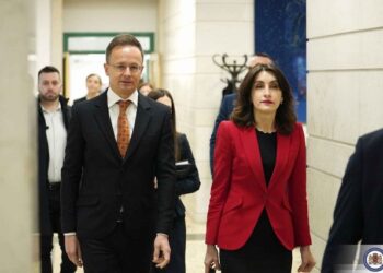 GD’s FM Bochorishvili visits Hungary, discusses bilateral relations