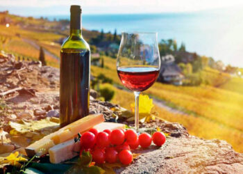 Georgian wine showcased at major international expo in China