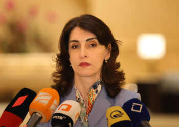 Georgian FM: Under conditions of occupation, impossible to talk about restoring diplomatic relations