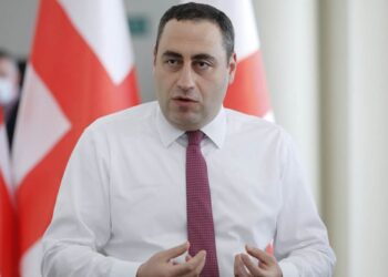 Parliament to refer Vashadze to Prosecutor’s Office for skipping commission hearing
