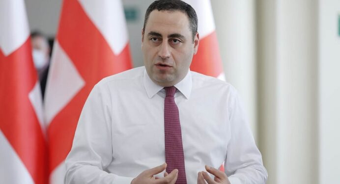 Parliament to refer Vashadze to Prosecutor’s Office for skipping commission hearing