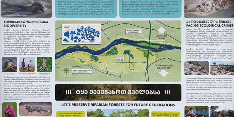 Between Romantic Thunder and Nordic Mysticism: Tbilisi Symphony Orchestra’s Concert of Tchaikovsky and Sibelius