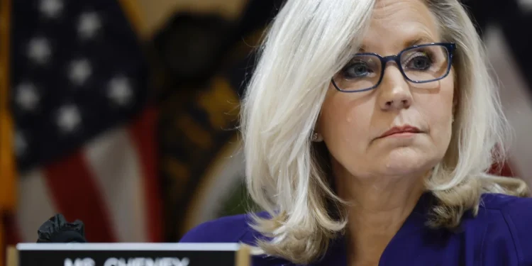 Former US Congresswoman Liz Cheney issues urgent call to Democrats: “stop fundraising and start fighting”