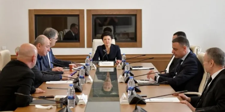 Parliamentary Temporary Investigative Commission to apply to Prosecutor’s Office regarding Nika Gvaramia