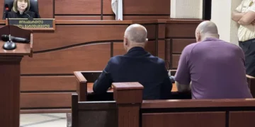 Nika Melia granted bail of 50,000 GEL