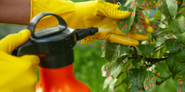 Georgia launches annual animal feed pesticide testing survey