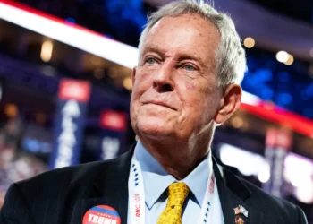 Joe Wilson criticises Georgian Dream over Japaridze’s arrest