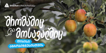 თიბისი აგრობიზნესისთვის – „ჭარებულას“ ვაშლის ბაღები ქართლში