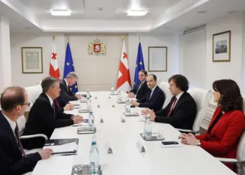 Irakli Kobakhidze discusses US ties and regional stability with senator Steve Daines