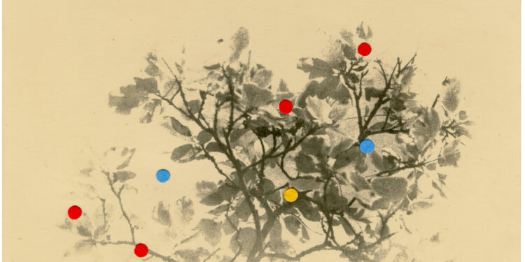 “A Small Part of Something Bigger”: Giorgi Shengelia on Presenting Georgian Photography at Bonhams