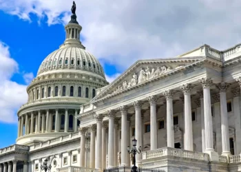 UNM delegation in Washington pushes for MEGOBARI Act, sanctions on Ivanishvili