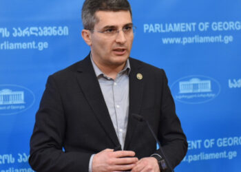 Mdinaradze: Georgia must decide its own fate or “cease to exist”