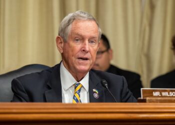 Joe Wilson criticises Georgian gov’t over China ties