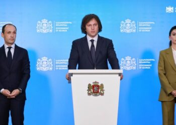 PM appoints new economy minister, Davitashvili becomes advisor