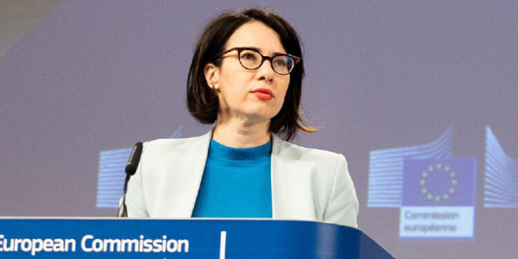 EU Spokesperson: Arrests of opposition leaders go against basic democratic values