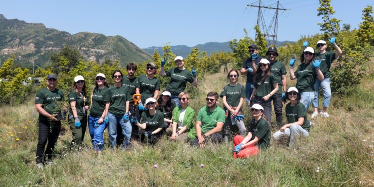 EFES Georgia launches forest restoration activities in Mtskheta