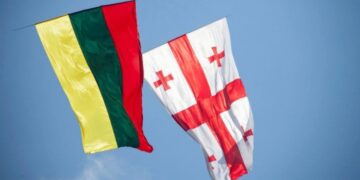 Lithuania condemns arrest of Nika Melia