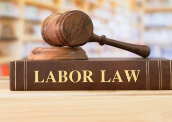 Georgia to tighten rules on foreign labor to combat illegal migration