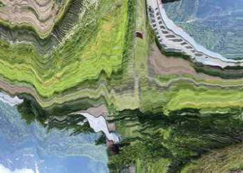 Reflecting on Growth: Mako Lomadze’s Journey after the 2020 BI Auction Competition