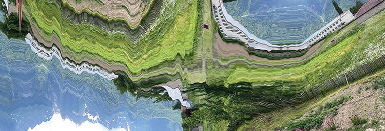 Reflecting on Growth: Mako Lomadze’s Journey after the 2020 BI Auction Competition