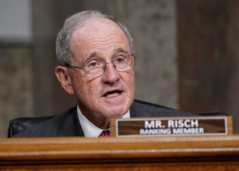 U.S. Senator Risch accuses Georgian gov’t of rejecting democratic values