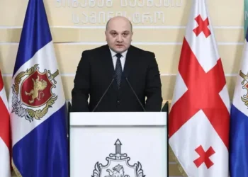 Darakhvelidze on Katamadze: He refused voluntary departure, expulsion followed Georgian law