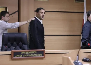 Court considers detention of ex-deputy economy minister Romeo Mikautadze