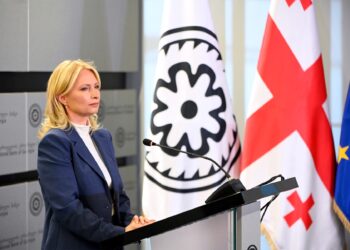 Natia Turnava declares over half a million USD in cash holdings and assets