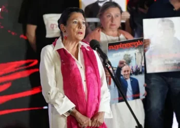 Salome Zurabishvili says she was fined 5,000 GEL