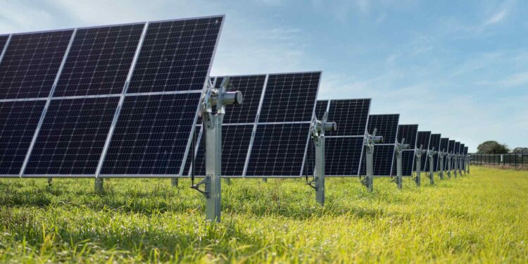 Georgia to connect first solar power plants to national grid