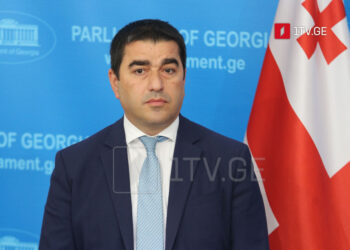 Speaker: OSCE SG’s statement ends Brussels’ attempts to undermine Georgian democracy