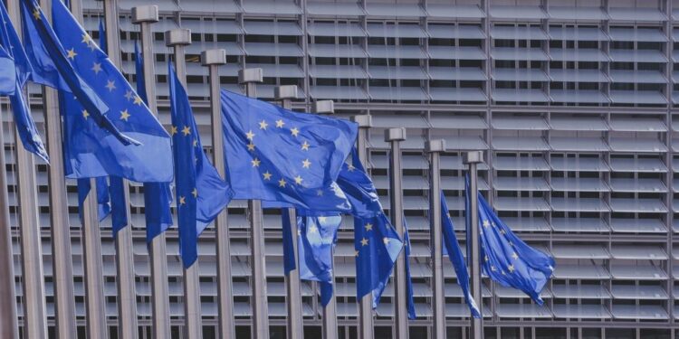 EP: No recognition of Georgian gov’t until free, fair elections held