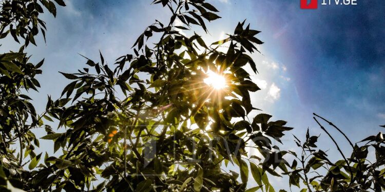 High temperatures expected across Georgia in coming days