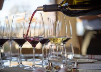 Researcher studies Georgian wine preferences under EU’s Eco2Wine project